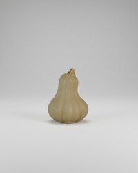 Butternut Concrete Mini Gourd