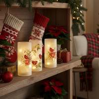 Frosted Glass Cardinal Lighted Cylinder