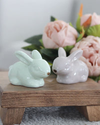 Dolomite Sitting Bunny