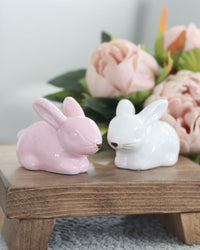 Dolomite Sitting Bunny