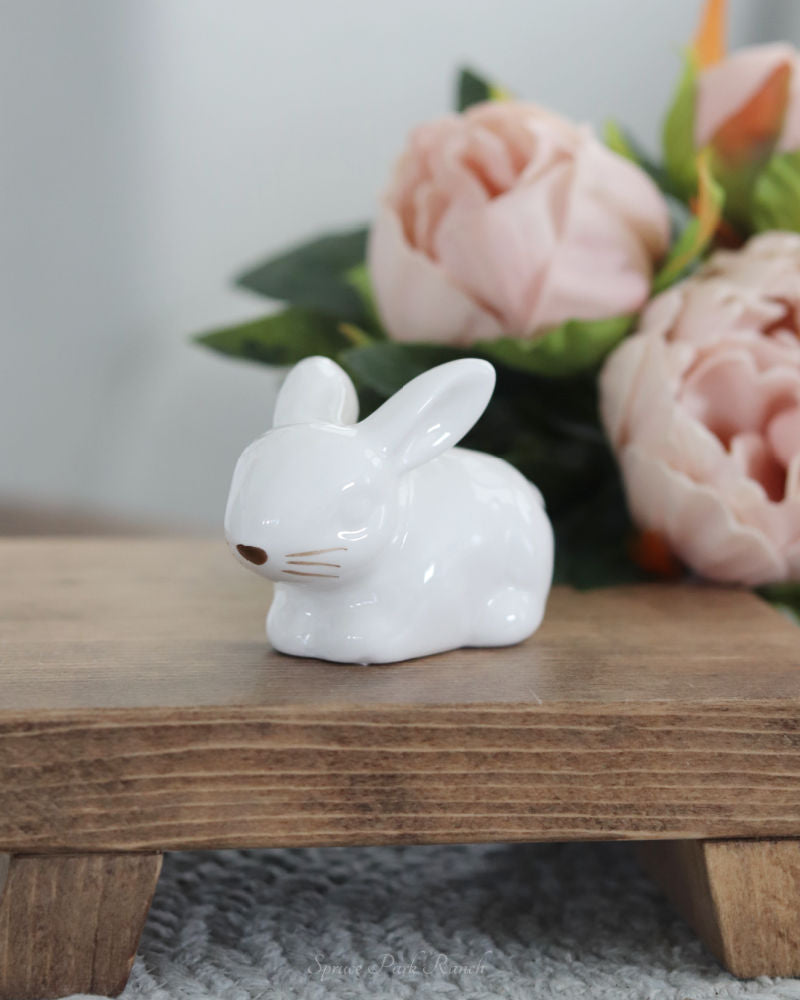 Dolomite Sitting Bunny