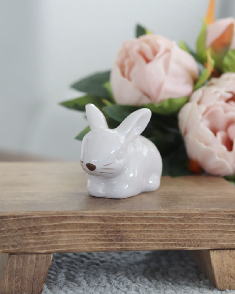 Dolomite Sitting Bunny