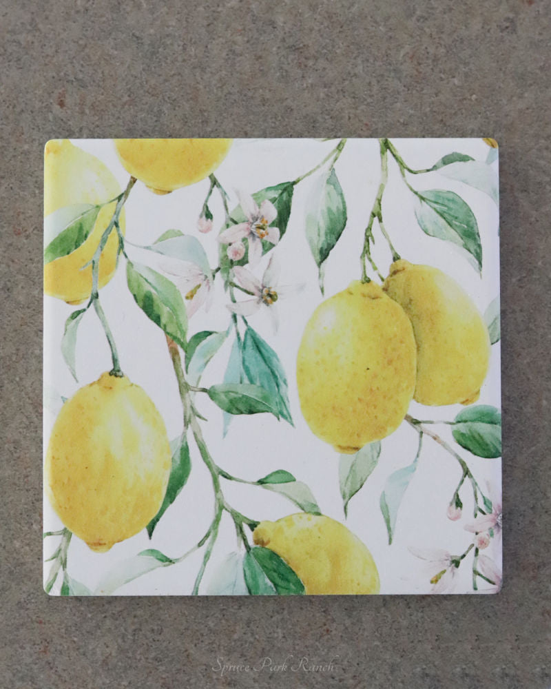 Coaster Set of 6 Fresh Lemon