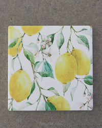 Coaster Set of 6 Fresh Lemon