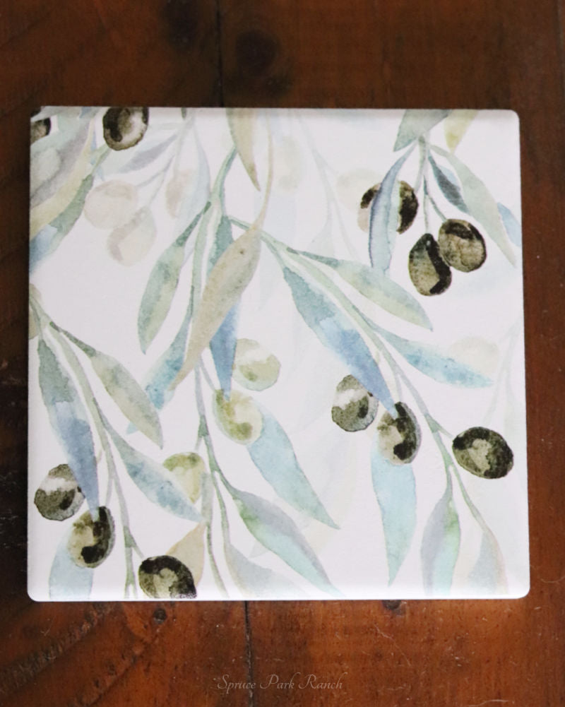 Coaster Set of 6 Olive