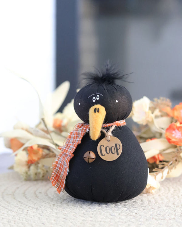 Coop the Baby Crow