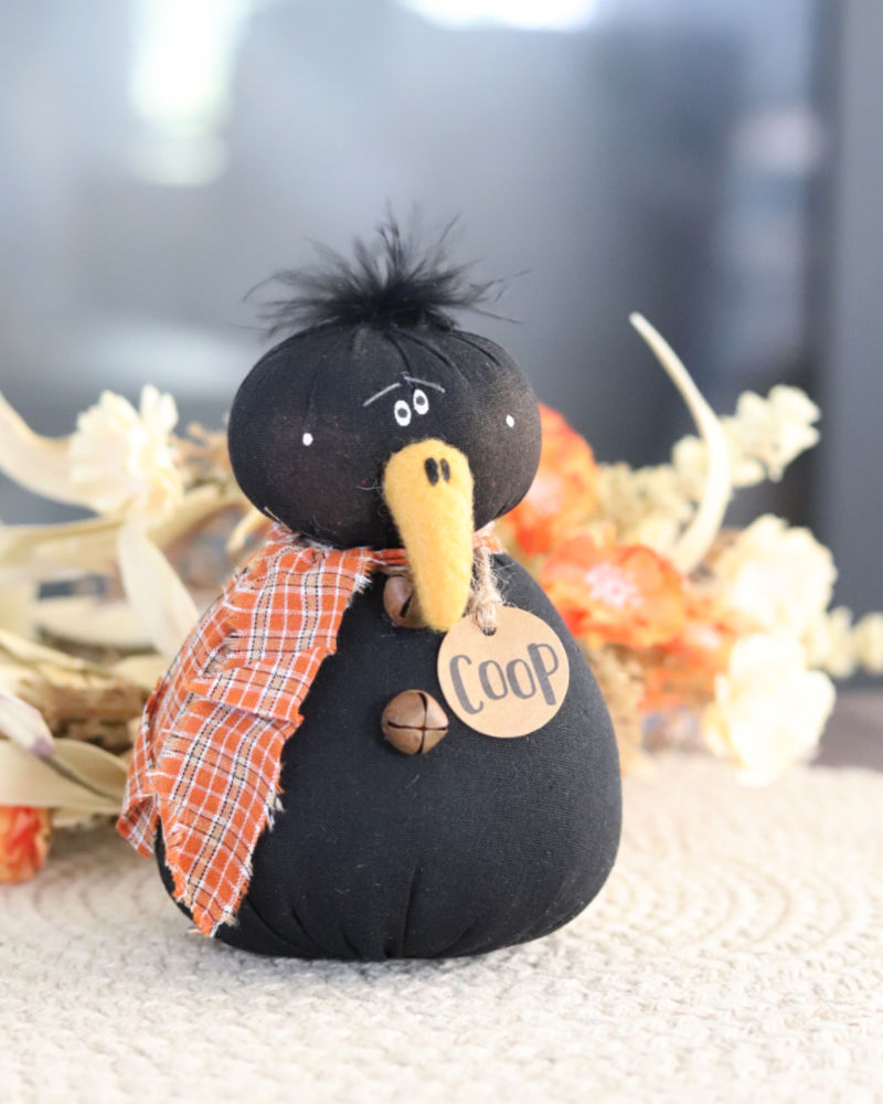 Coop the Baby Crow