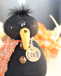 Coop the Baby Crow