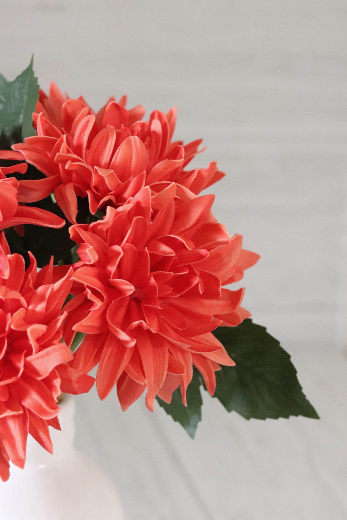 Coral Real Touch Dahlia Bundle of 6
