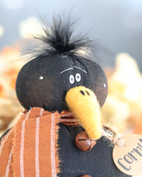 Corny the Baby Crow