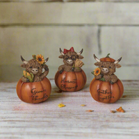 Harvest Highland Cow in Pumpkin