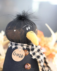 Crackle the Baby Crow