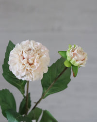 Cream Dahlia Bud and Bloom Real Touch 20"