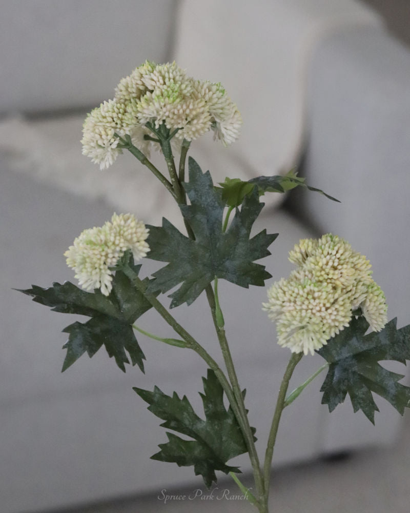 Sedum Stem Cream and Green 28"