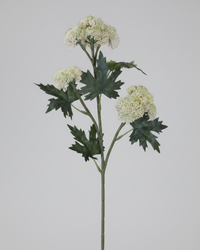 Sedum Stem Cream and Green 28"