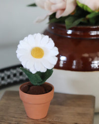 Mini Daisy Felt Forever Flower