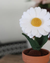 Mini Daisy Felt Forever Flower