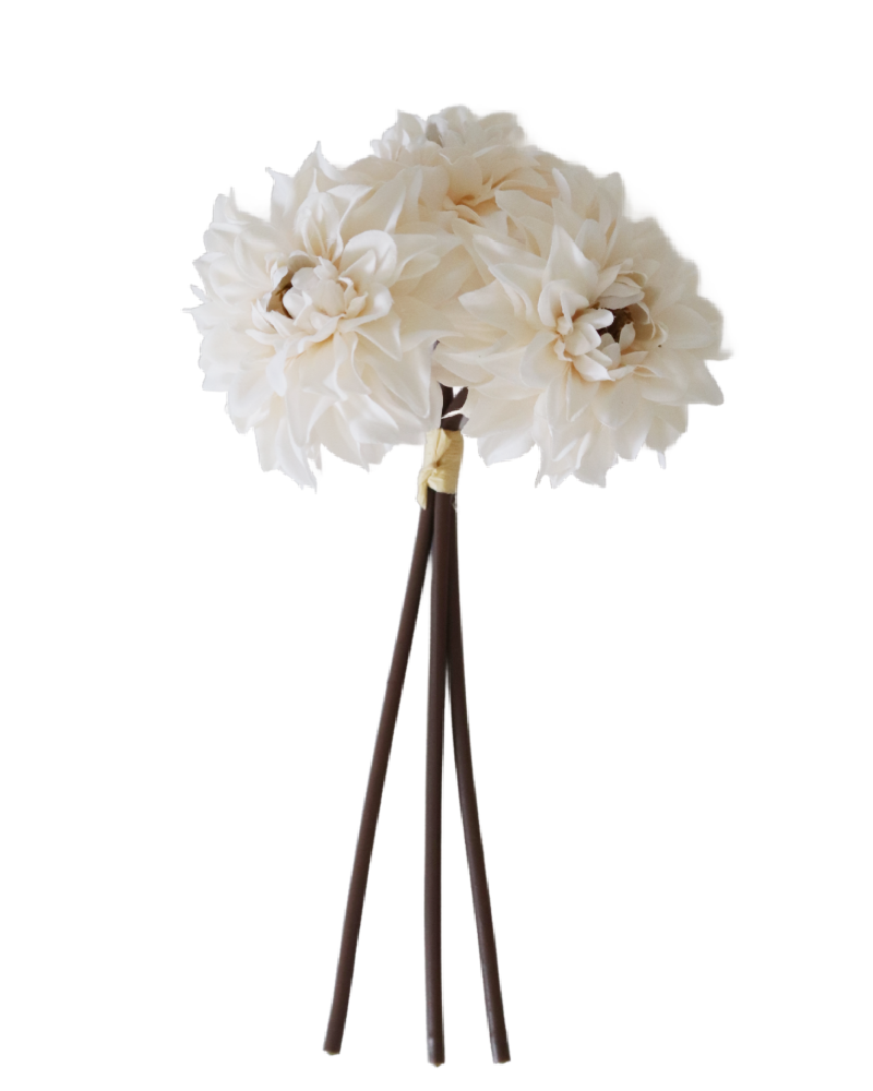 Damask Dahlia Bundle Cream 10"L