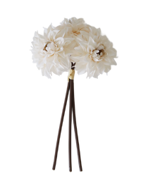 Damask Dahlia Bundle Cream 10"L
