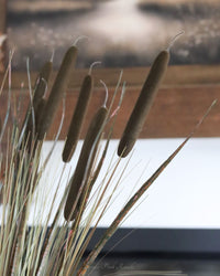 Dark Brown Double Cattail Stem 43"