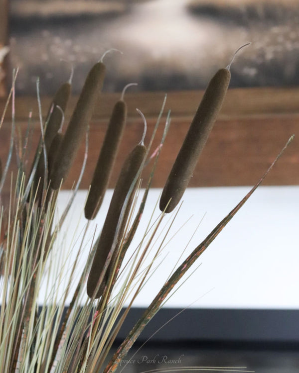 Dark Brown Double Cattail Stem 43"