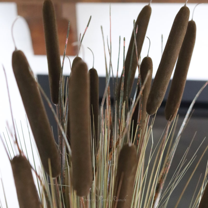 Dark Brown Double Cattail Stem 43"