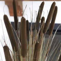 Dark Brown Double Cattail Stem 43"