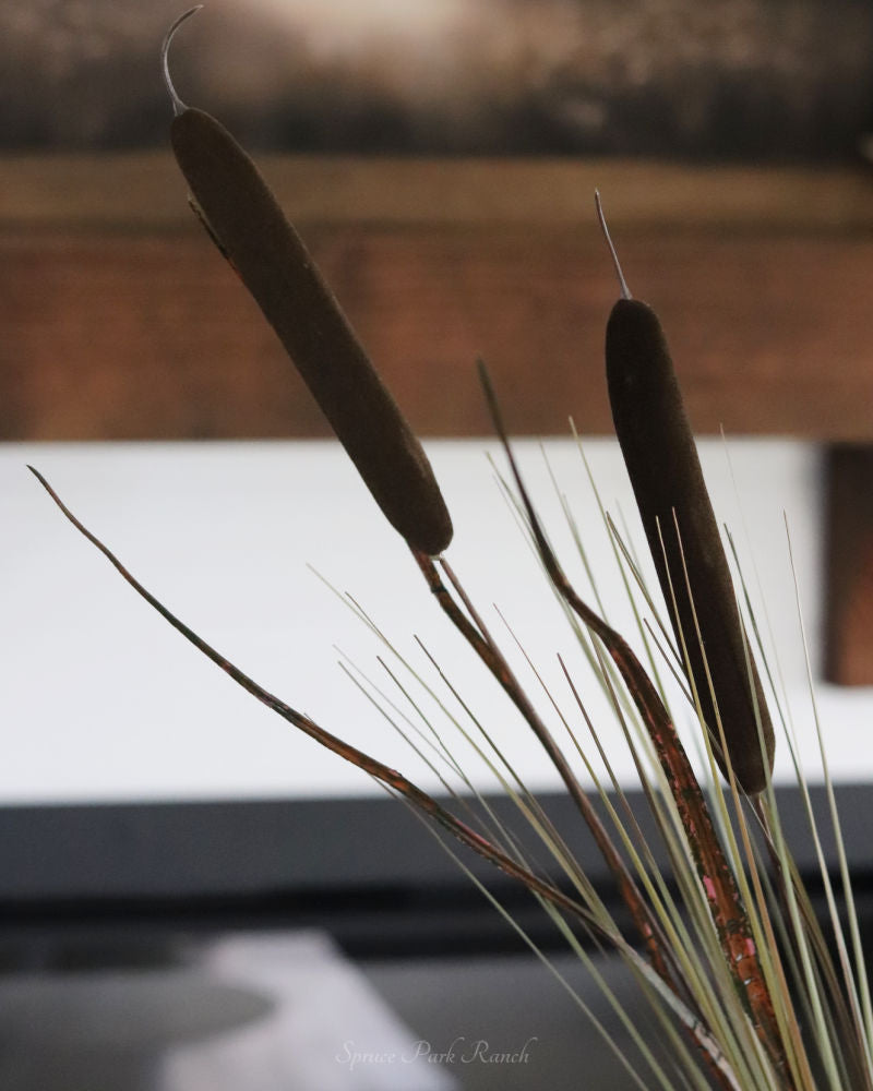 Dark Brown Double Cattail Stem 43"