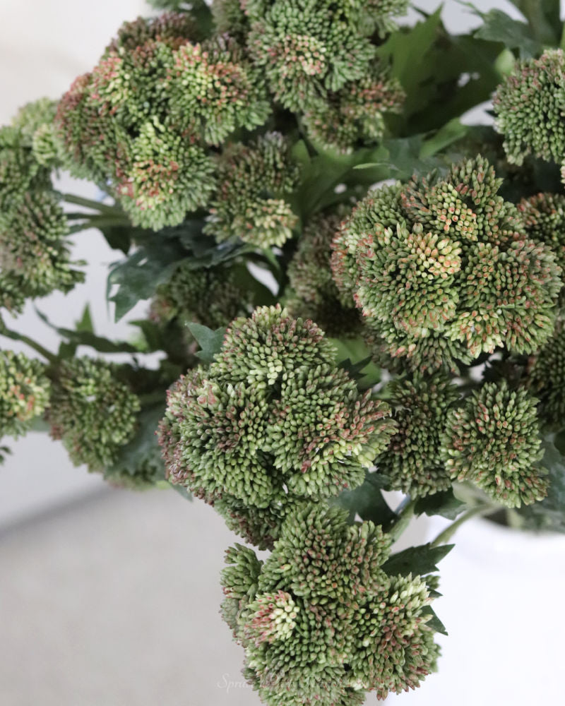 Sedum Stem Dark Green 28"