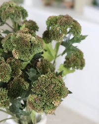 Sedum Stem Dark Green 28"