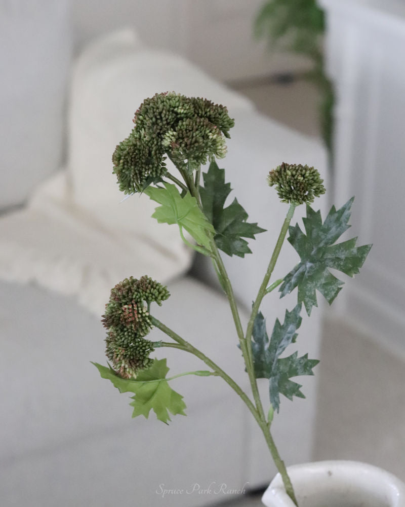 Sedum Stem Dark Green 28"