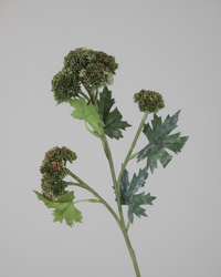 Sedum Stem Dark Green 28"