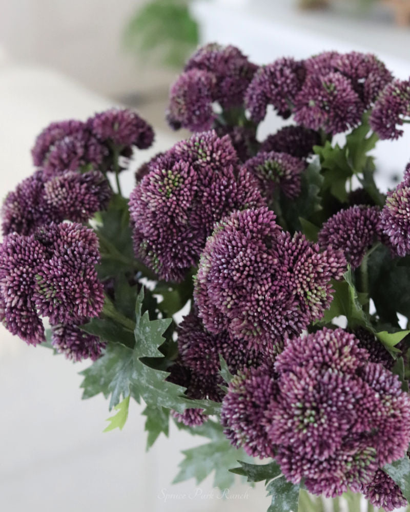 Sedum Stem Dark Purple 28"