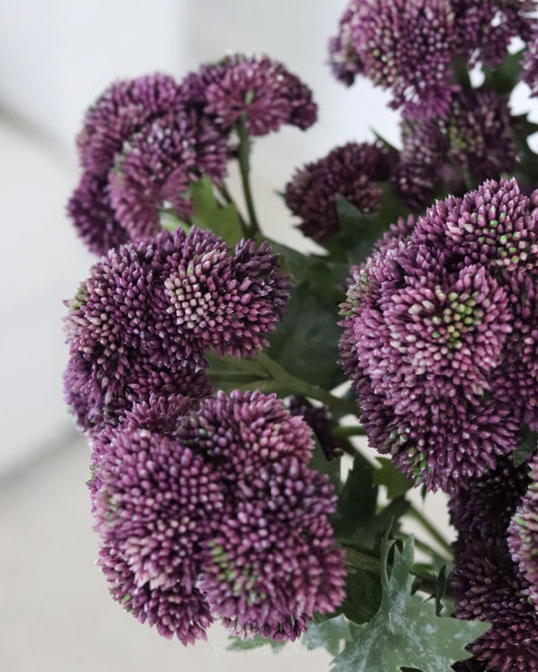 Sedum Stem Dark Purple 28"