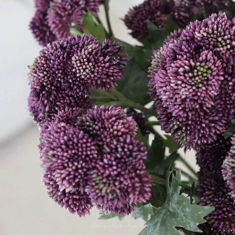 Sedum Stem Dark Purple 28"