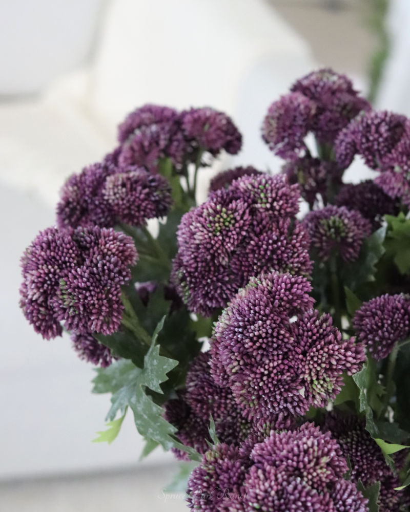 Sedum Stem Dark Purple 28"