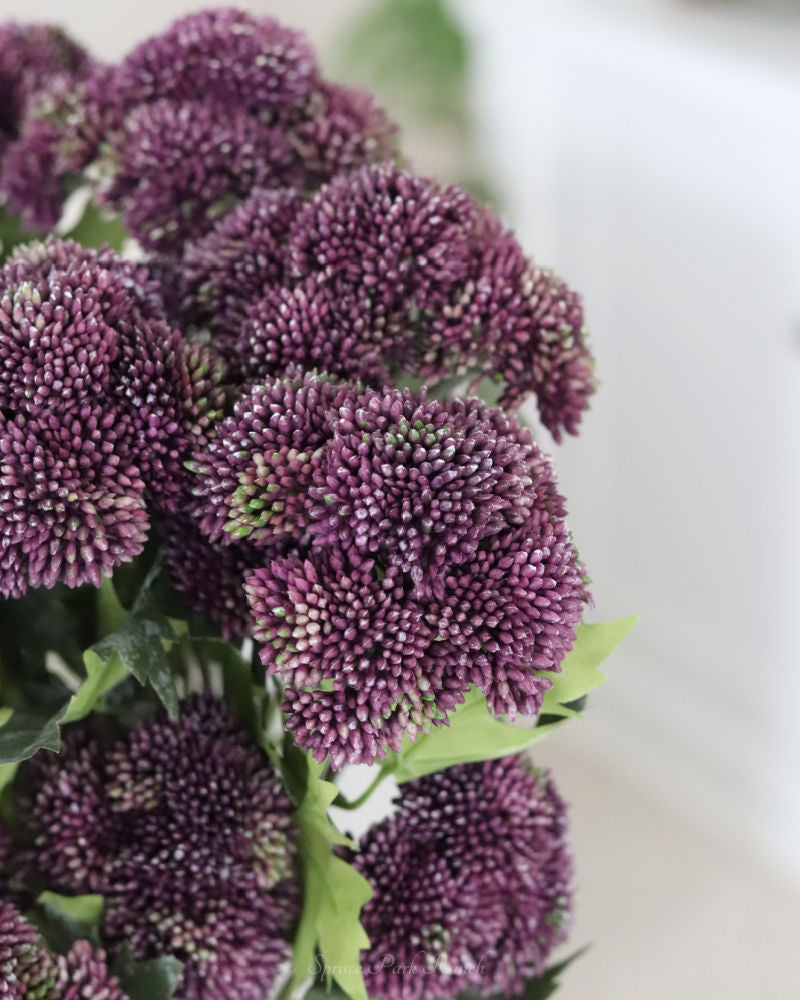 Sedum Stem Dark Purple 28"