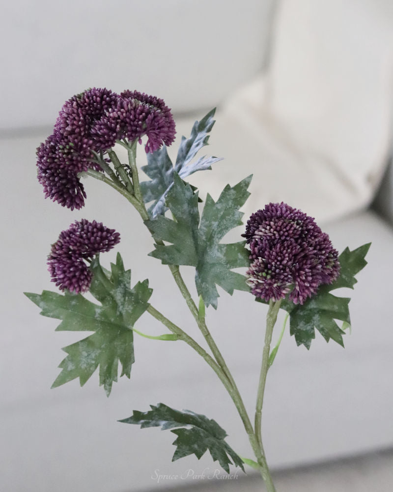 Sedum Stem Dark Purple 28"