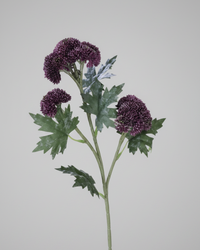 Sedum Stem Dark Purple 28"
