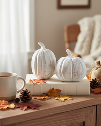 Distressed White Pumpkin