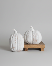 Distressed White Pumpkin
