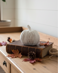 Distressed White Pumpkin