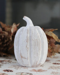 Distressed White Pumpkin