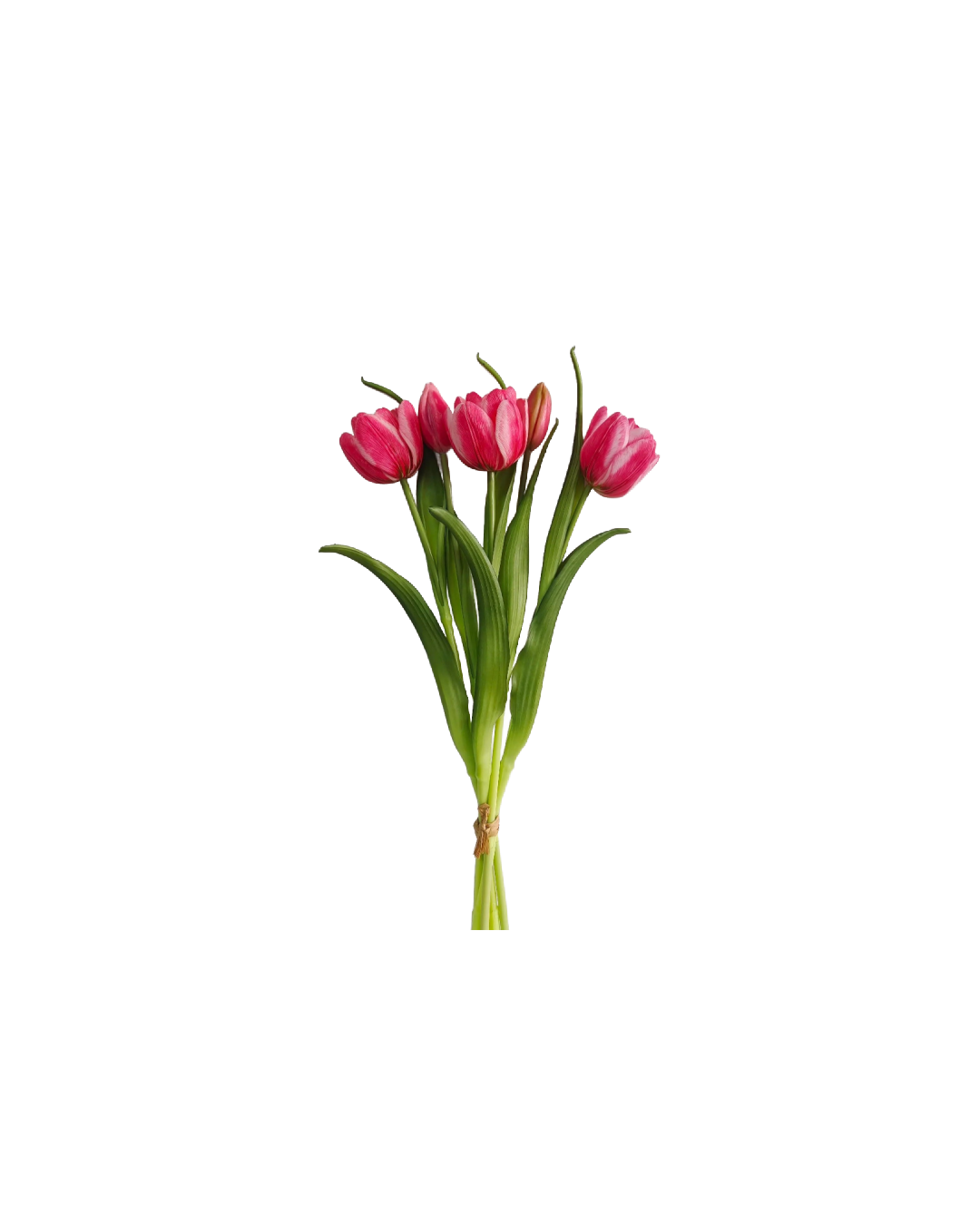 Double Late Tulip Bundle Cotton Candy Real Touch 16.5"