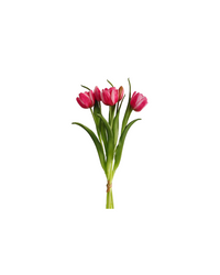 Double Late Tulip Bundle Cotton Candy Real Touch 16.5"