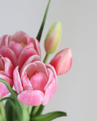 Double Late Tulip Bundle Pink Real Touch 16.5"