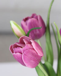 Double Late Tulip Bundle Light Plum Real Touch 16.5"