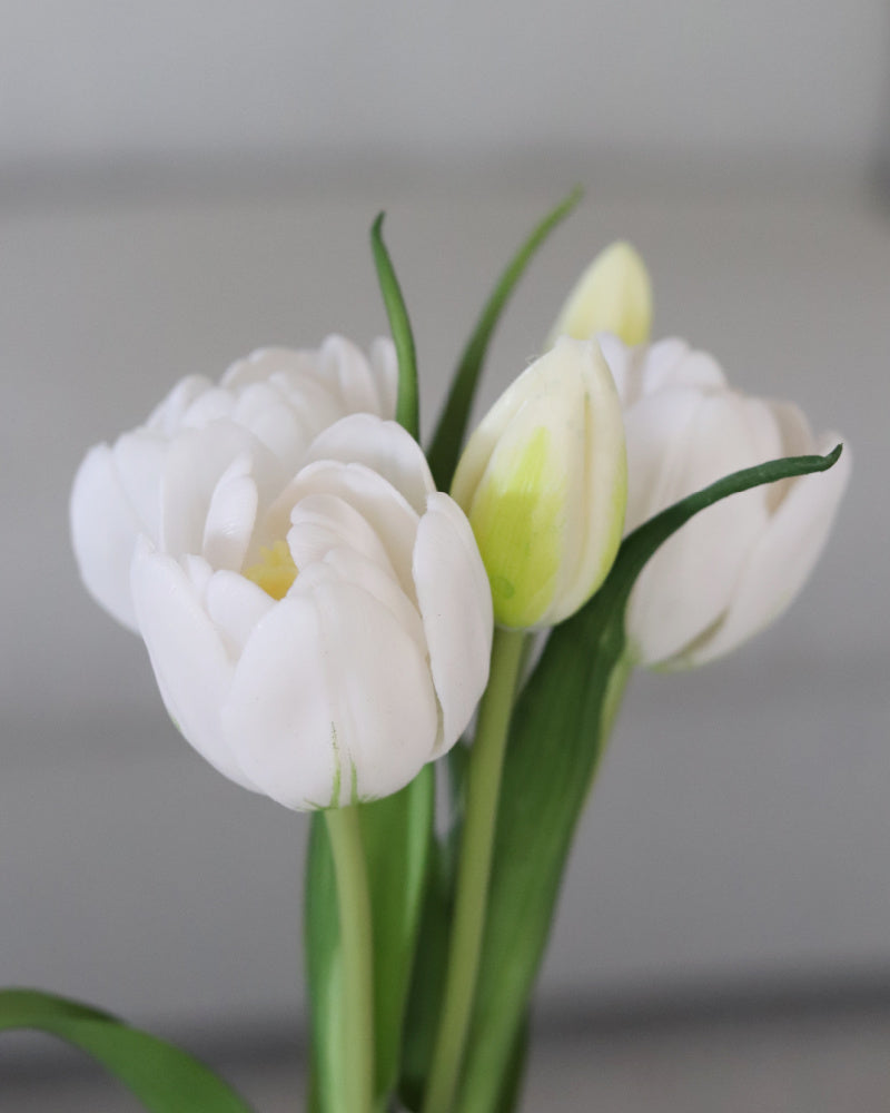 Double Late Tulip Bundle White Real Touch 16.5"