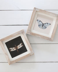 Reversible Dragonfly and Butterfly Wood Sign