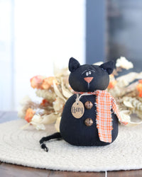 Ebony the Baby Cat